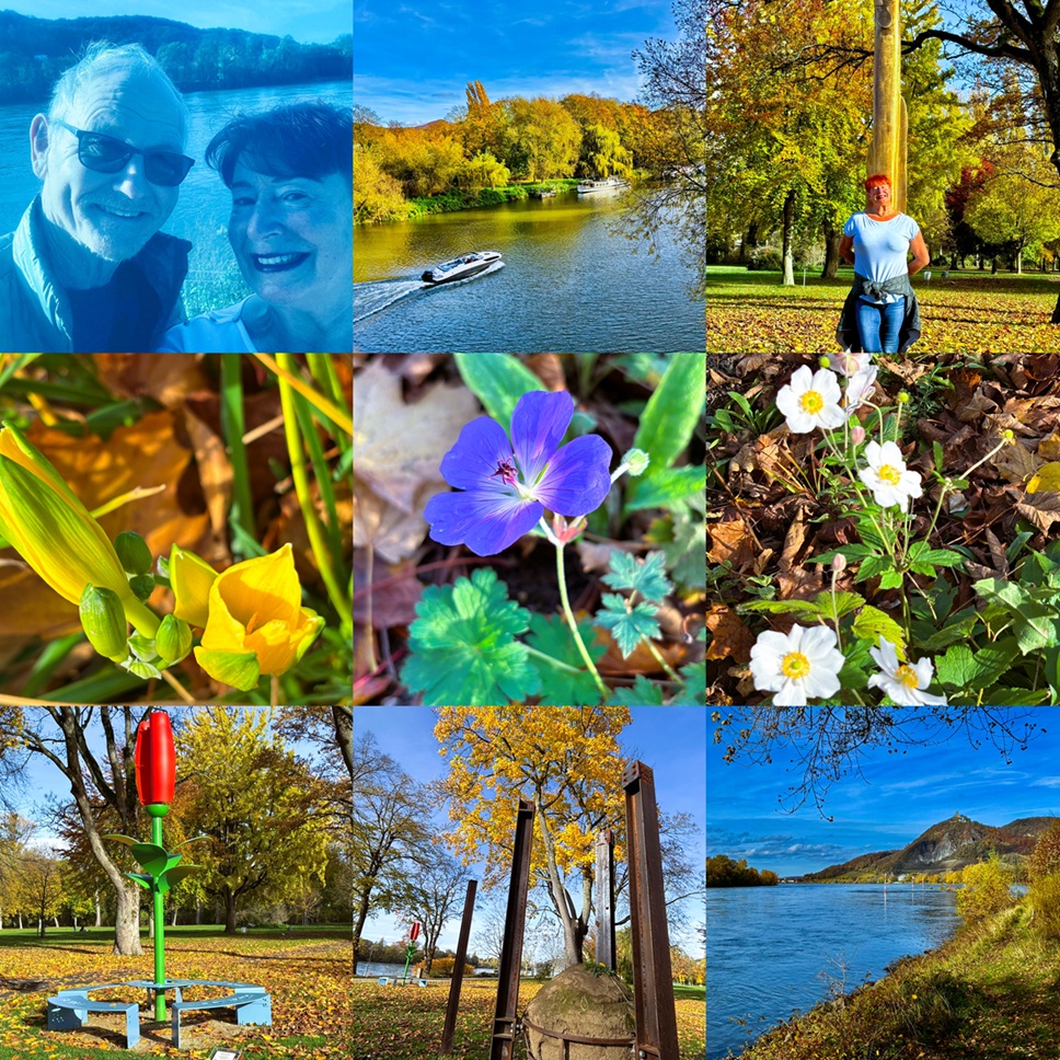 Insel Grafenwerth Bad Honnef